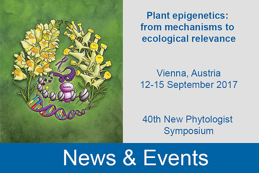 Plant epigenetics: from mechanisms to ecological relevance - 40th New Phytologist Symposium, Sept. 2017 in Vienna, Austria