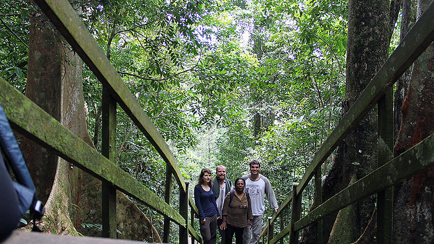 Field trip in the tropical forests at Kuala Belalong, Borneo (picture: O.Paun).